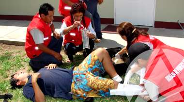 Proivil foto simulacro